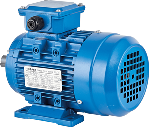 มอเตอร์ไฟฟ้าสามเฟส ยี่ห้อ <span class=keywords><strong>Topper</strong></span> ขนาด 1 แรงม้า 50Hz/60Hz แรงดันไฟฟ้า 220/380/440/690V จากโรงงาน - Product Image 2