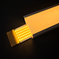 Personnalisé Flexible Néon Manchon Profilé Led Bande Couverture Diffuseur Panneau En Bois Canal Led Silicone Tube Silicone Tube pour Bande Led
