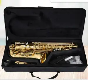 Hele Koop Hoge Kwaliteit Gouden Altsaxofoon, Muziekinstrumenten, Wind Instrumenten ABC1102D