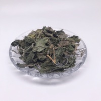 Feuilles de marruechons séchées L099, Urtica Dioica pure et naturelle pour tisanes et soutien bien-être Qian Ma Ye