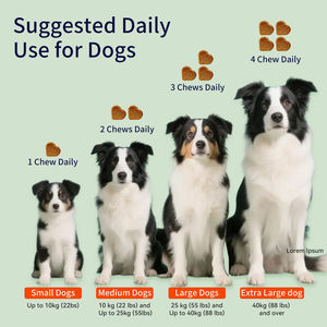 Supporto per la visione personalizzata mastica morbida per cani integratore per animali domestici fornitore di assistenza sanitaria morsi naturale trattamento degli occhi chiaro ridurre l'infiammazione - Product Image 4