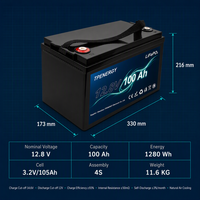 Batterie LiFePO4 12V 100Ah 12,8V 1280Wh à décharge profonde pour stockage d'énergie domestique, remplacement de batterie solaire au plomb-acide