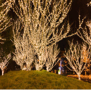 String Lights 24V Dc White <b>Led</b> Waterproof Outdoor <b>Tree</b> Decoration IP65 Round Shape Manual Control - Product Image 3