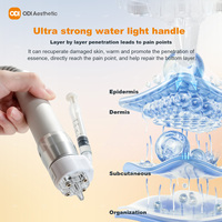 Appareil de dermabrasion aquatique Jet Peel pour un nettoyage en profondeur, l'élimination des cicatrices d'acné, l'amélioration de l'absorption cutanée et l'anti-âge