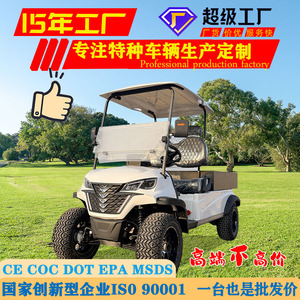 Voiturette de golf électrique FD006C-2HD 2 places, capacité de charge 700 kg, benne de chargement pour sites touristiques et transport aéroportuaire - Product Image 1