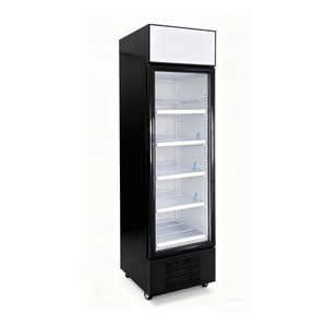53cm Wide Vertical <b>Refrigerator</b> 5 Metal Shelves Digital Temperature Commercial 235l <b>Big</b> One Glass <b>Door</b> <b>Refrigerator</b> - Product Image 4