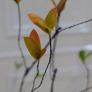 Nhựa Nhân Tạo Khô Khóc Cây Liễu Cành Cây Chi Nhánh Đơn Thủ Công Mỹ Nghệ Với Liễu Chi Nhánh Chất Lượng Dài Thân Cây Trang Trí - Product Image 6