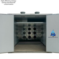 Four de séchage à air chaud industriel robuste de marque, ligne de production de séchage par circulation de type tunnel personnalisée pour viande et fruits de mer, pompe à engrenages