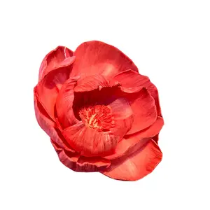 6,5 cm Rosa aromaterapia sola flores personalizar color decoración del hogar Flores perfumadas Día de San Valentín flores secas