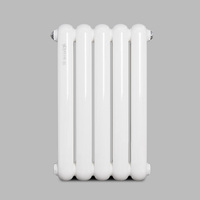 Radiateur en acier anthracite de 800 mm, vertical et horizontal, rectangulaire, à fixation murale, avec revêtement en poudre