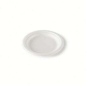Platos de Papel Biodegradables Personalizados de Bagazo de Caña de Azúcar Blancos, Contenedor Desechable para Alimentos para el Regreso a Clases (Tamaños 9''/10''/12'') - Product Image 1