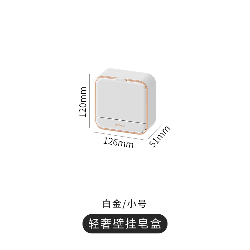 White single-compartment soap dish