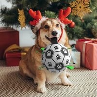 Jouets pour chiens : balle avec sangles, jouets interactifs pour la bataille de la corde, jouet d'anniversaire pour chiot, jouet aquatique pour chien, balles pour chien