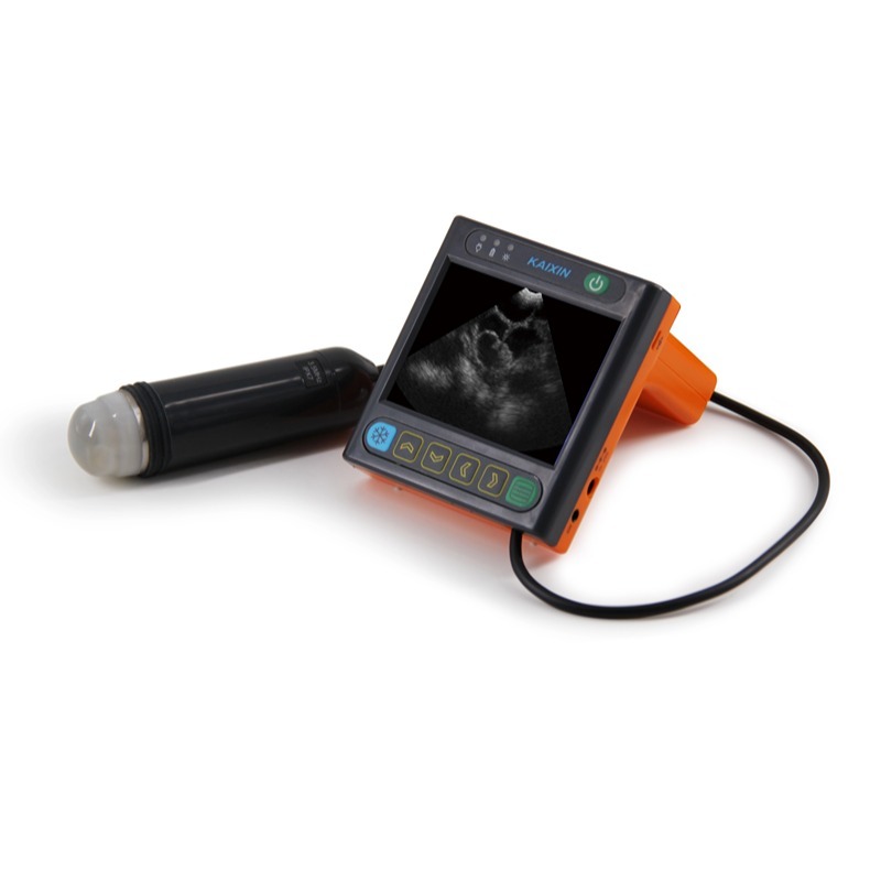 Portable Handheld Veterinary Monitoring Device Animal