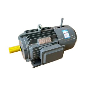 มอเตอร์สามเฟส 60 แรงม้า พร้อมดิสก์เบรก - Product Image 4