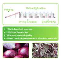 Schisandra-bes droogmachine met gaasband, fruitdroogmachine, dehydrator, droogapparaat voor fruit, droogapparatuur met gaasband