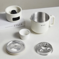 Bouilloire pliable électrique pliable pour la cuisson de voyage avec contrôle de la température pour une utilisation en extérieur.