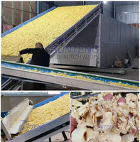 Séchoir à légumes commercial Manioc Yam Gingembre Konjac Taro Lavage Tranchage Séchage Ligne de production