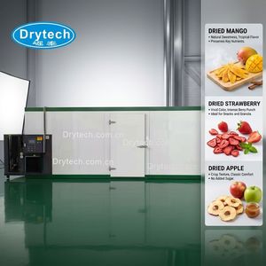 Séchoir industriel à pompe à chaleur Drytech pour fruits et légumes, déshydrateur pour mangues, bananes, ananas, pommes - Product Image 3