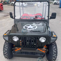 Caiteng Quad 4x4 UTV 300cc, mini jeep haute vitesse, transmission automatique essence, garantie 2 ans, buggy des dunes pour adultes