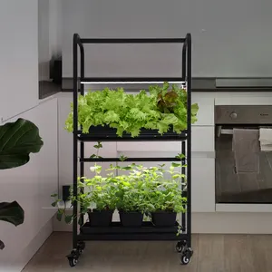 Sistema di coltivazione verticale a 2 livelli per il giardinaggio domestico intelligente 32w Microgreen Clone Led rack con ruote per piante da interno