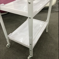 Chariot de Salon de Beauté Moderne en Plastique à 3 Niveaux et 4 Roues Facilement Déplaçable - Chariot de Coiffure pour Hôtel, Maison, Bureau et Atelier