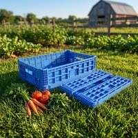 Caisse en plastique pliable HAOSEN HS-1880, durable, écologique, légère, empilable et emboîtable pour la transformation alimentaire et l'emballage des légumes