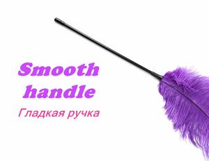 Plumes sexy Teasing Sticks SM Sex Toys pour jouer et flirter avec les esclaves - Product Image 6