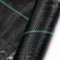 Toile de paillage tissée en PP, rouleau de toile anti-mauvaises herbes en PE, toile de contrôle des adventices