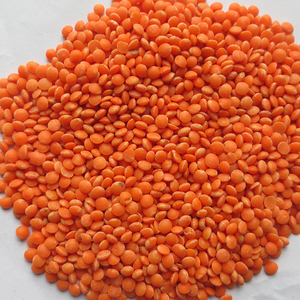 Máquina Peladora de Granos de Soja, Frijoles y Maíz con Pimienta Negra, Gran Venta 2026 - Product Image 1