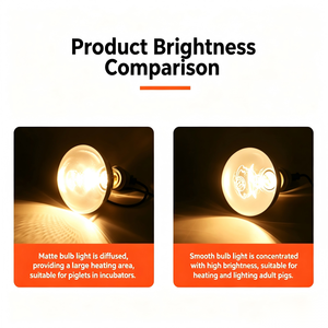 Lampe chauffante de haute qualité 250W pour animaux de ferme (porcs et poulets) - Product Image 3