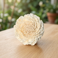 Fleurs de Camélia Sola Écologiques Faits Main de Haute Qualité pour la Décoration DIY d'Halloween, de Remise de Diplôme et de Noël (Vente en Gros)