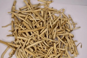 Racine de Shatavari |   Ingrédient Herbal Premium pour l'Exportation Mondiale – Pur, Biologique et de Qualité Garantie - Product Image 2