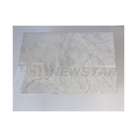 Newstar italien moderne meubles de maison de luxe en marbre blanc salon Rectangle Table centrale