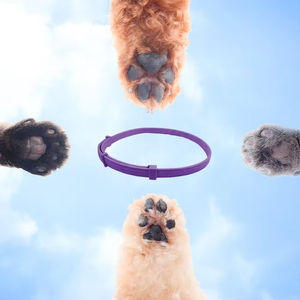 Venta caliente Calming Pet <span class=keywords><strong>Collar</strong></span> | Impermeable y ajustable | Perfecto <span class=keywords><strong>para</strong></span> viajes - Product Image 3