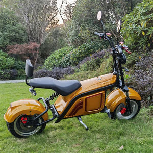 Venta al por Mayor, <span class=keywords><strong>Precio</strong></span> de Fábrica en China, Motocicleta Eléctrica Citycoco <span class=keywords><strong>2023</strong></span>, Diseño Popular, Motor de 12 Pulgadas - Product Image 1