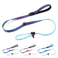 Laisse de dressage intégrée pour chien en nylon avec corde amortissante et doubles boucles de fixation – OEM/ODM disponibles