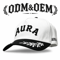 Casquette de baseball unisexe respirante à visière rigide, broderie personnalisée alphabet noir et blanc sur branche de laurier, style hip-hop streetwear