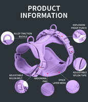 Colliers et laisses pour animaux de compagnie imperméables et réglables en vente flash, collier de luxe pour chien, harnais pour chien personnalisés