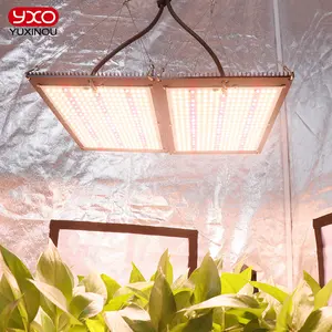 Hydro po nische UV-Infrarot-Vollspektrum-LED-Wachstums lampe 120W 240W Lm301h LED-Wachstums lampe Neueste EVO Indoor Grow Light