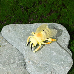 Mini-ensemble d'usine de jouets en plastique : Modèles biologiques d'insectes en PVC (sauterelle, araignée, coléoptère, fourmi et grenouille) – Ornements statiques - Product Image 3
