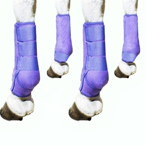 Polainas para caballos anticolisión absorbentes de golpes, equipo de equitación, calentadores ecuestres, arnés para montar a caballo, rodilla - Product Image 5