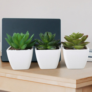人気オフィス人工鉢植え装飾プラスチックミニ人工多肉植物盆栽卸売 - Product Image 2