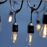 Wendadeco Plastique Cour Jardin Décoré Étanche IP44 Écologique LED Festoon Guirlande Lumineuse Extérieur Festival Lumières