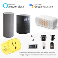 ECO-NEWLEAF US-Standard 16A Tuya WLAN-Smart-Stecker Fernbedienung Energiemonitor Alexa/Google Home CE/FCC für Steckdose