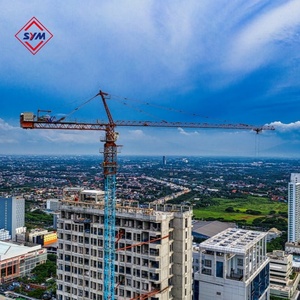 <span class=keywords><strong>Grúa</strong></span> <span class=keywords><strong>Torre</strong></span> Usada QTZ63 5013 <span class=keywords><strong>de</strong></span> Zoomlion, Fabricada en China, para Construcción <span class=keywords><strong>de</strong></span> Edificios - Product Image 5