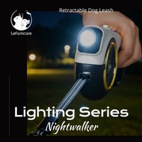 Tali Anjing LED Isi Ulang dengan Nilon Reflektif, Tali Bercahaya 13ft/4m untuk Hewan Peliharaan di Bawah 25kg untuk Jalan Malam