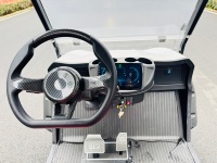 Voiturette de golf électrique DAOD 4 places, batterie LiFePO4 48V 140Ah, capacité de montée de 20%, fabriquée en Chine