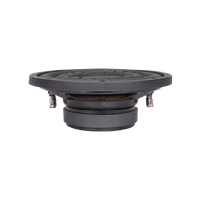 Subwoofer SPL Modèle Exclusif 10 Pouces Double Bobine pour Voiture, Puissance RMS 200W, Puissance de Pointe 400W, Audio Automobile Prix Usine