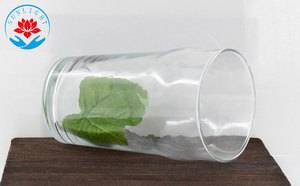 IPA de bière en verre personnalisé d'usine, Logo personnalisé de verre de pinte, verres de bière de Offre Spéciale pinte - Product Image 4